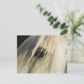 Sluiting van het oog van de paarden briefkaart (Staand voorkant)