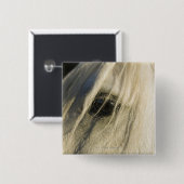 Sluiting van het oog van de paarden vierkante button 5,1 cm (Voorkant /achterkant)