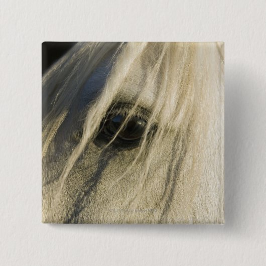 Sluiting van het oog van de paarden vierkante button 5,1 cm (Voorkant)