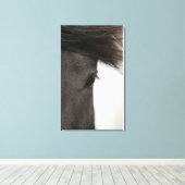 Sluiting van het paardenoog en het paardenhaar canvas afdruk (Insitu (Houten vloer))