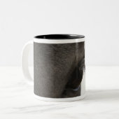 Sluiting van het paardenoog en het paardenhaar tweekleurige koffiemok (Voorkant links)