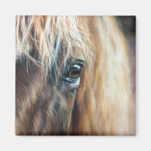 Sluiting van het paardenoog