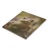 Sluiting van het pad tegeltje (Zijkant)