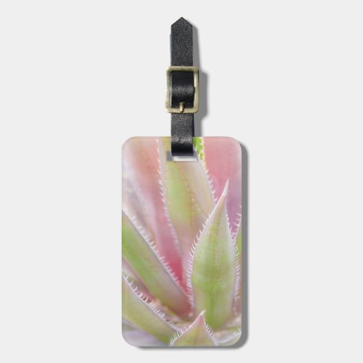 Sluiting van het plant Yucca Bagagelabel (Voorkant verticaal)