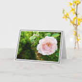 Sluiting van het Roos van groene afvoer Kaart (Gele Bloem)