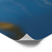 Sluiting van het schip poster (Hoek)