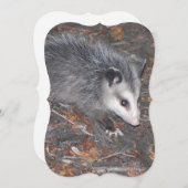 Sluiting van het STANDPUNT Kaart (Voorkant / Achterkant)