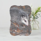 Sluiting van het STANDPUNT Kaart (Staand voorkant)