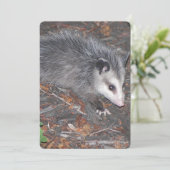 Sluiting van het STANDPUNT Kaart (Staand voorkant)