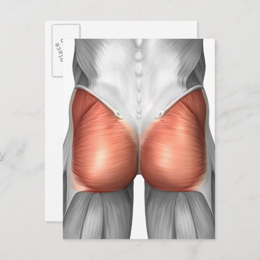 Sluiting van het Uitzicht van de menselijke gladde Briefkaart (Voorkant / Achterkant)