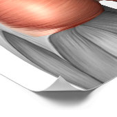 Sluiting van het Uitzicht van de menselijke gladde Poster (Hoek)