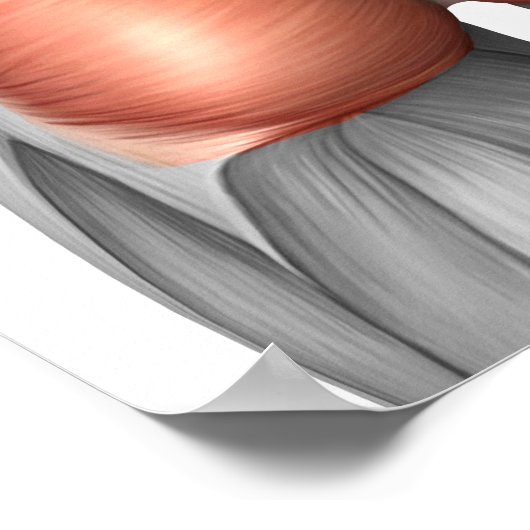 Sluiting van het Uitzicht van de menselijke gladde Poster (Hoek)