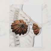 Sluiting van het Vrouw Mammary Glands Briefkaart (Voorkant)