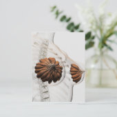 Sluiting van het Vrouw Mammary Glands Briefkaart (Staand voorkant)