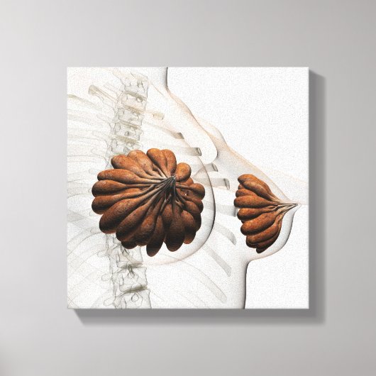 Sluiting van het Vrouw Mammary Glands Canvas Afdruk (Voorkant)