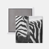 Sluiting van het zebra en de schouder magneet (Voorkant / Achterkant)