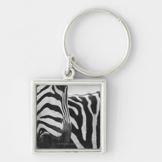 Sluiting van het zebra en de schouder sleutelhanger (Voorkant)