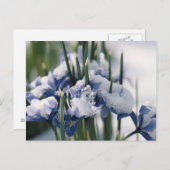 Sluiting van Iris Briefkaart (Voorkant / Achterkant)