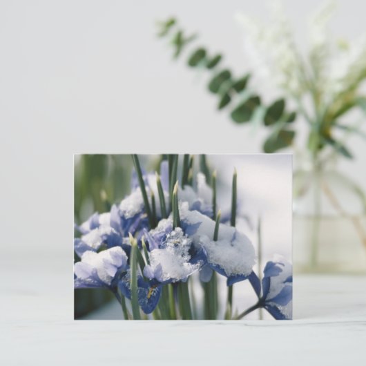 Sluiting van Iris Briefkaart (Staand voorkant)