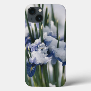 Sluiting van Iris Case-Mate iPhone Case