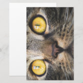 Sluiting van kat met gele ogen briefpapier (Voorkant / Achterkant)