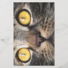 Sluiting van kat met gele ogen briefpapier