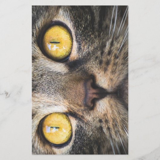 Sluiting van kat met gele ogen briefpapier (Voorkant)
