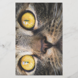 Sluiting van kat met gele ogen briefpapier