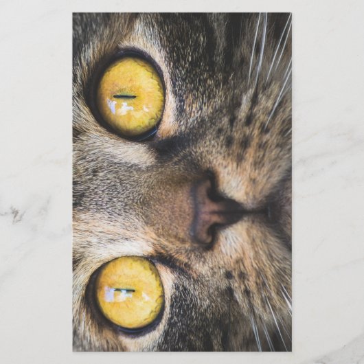 Sluiting van kat met gele ogen briefpapier (Voorkant)