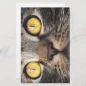 Sluiting van kat met gele ogen briefpapier (Voorkant / Achterkant)