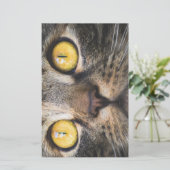 Sluiting van kat met gele ogen briefpapier (Staand voorkant)