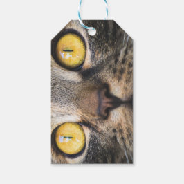Sluiting van kat met gele ogen cadeaulabel