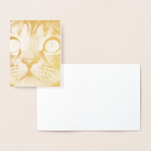 Sluiting van kat met gele ogen folie kaarten (Display)