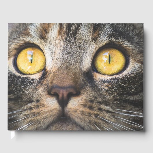 Sluiting van kat met gele ogen gastenboek (Voorkant)