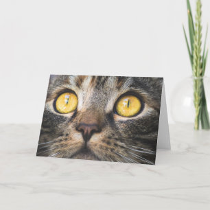 Sluiting van kat met gele ogen kaart