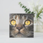 Sluiting van kat met gele ogen kaart (Staand voorkant)