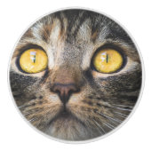 Sluiting van kat met gele ogen keramische knop (Voorkant)