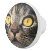 Sluiting van kat met gele ogen keramische knop (Rechts)