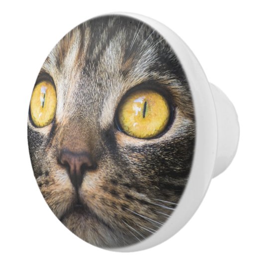 Sluiting van kat met gele ogen keramische knop (Rechts)