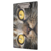 Sluiting van kat met gele ogen klembord (Links)
