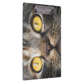 Sluiting van kat met gele ogen klembord (Rechts)
