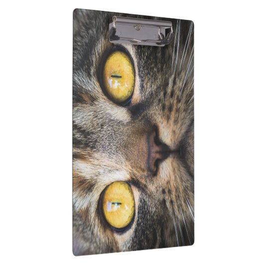 Sluiting van kat met gele ogen klembord (Rechts)