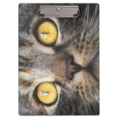 Sluiting van kat met gele ogen klembord (Voorkant)