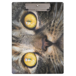 Sluiting van kat met gele ogen klembord