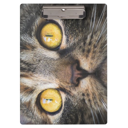 Sluiting van kat met gele ogen klembord (Voorkant)