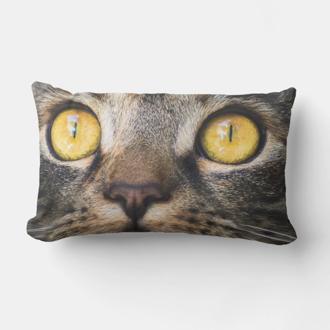 Sluiting van kat met gele ogen kussen (Voorkant)