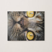 Sluiting van kat met gele ogen legpuzzel (Horizontaal)