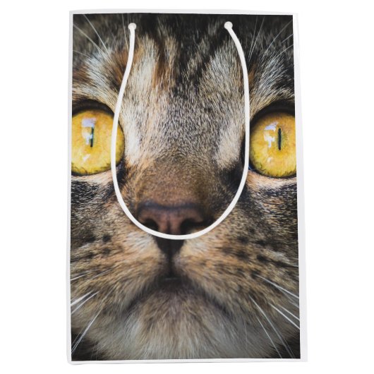 Sluiting van kat met gele ogen medium cadeauzakje (Voorkant)
