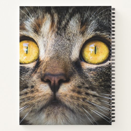 Sluiting van kat met gele ogen notitieboek (Achterkant)