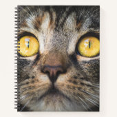 Sluiting van kat met gele ogen notitieboek (Voorkant)